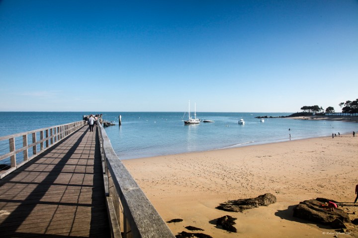 Bois de la Chaise à noirmoutier
