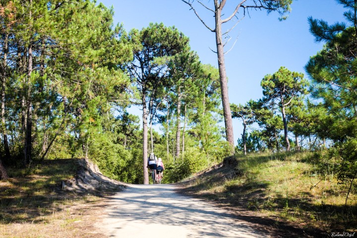 camping à deux pas de la foret de saint hilaire de riez